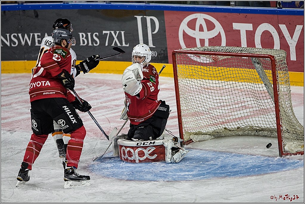 DEL, Koelner Haie - Grizzlys Wolfsburg, 12.03.2017